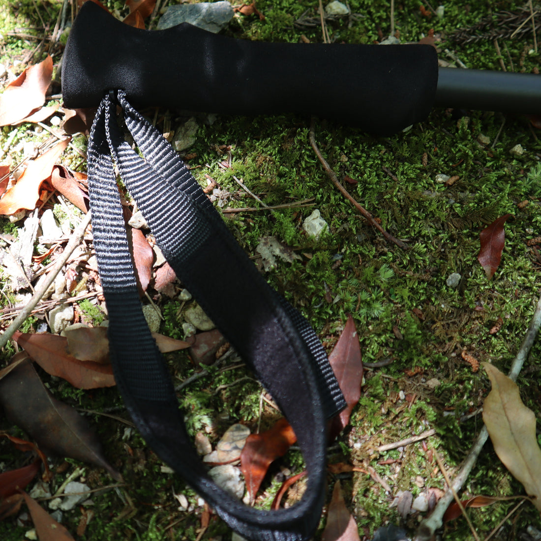 Carbon Fiber Trekking Pole
