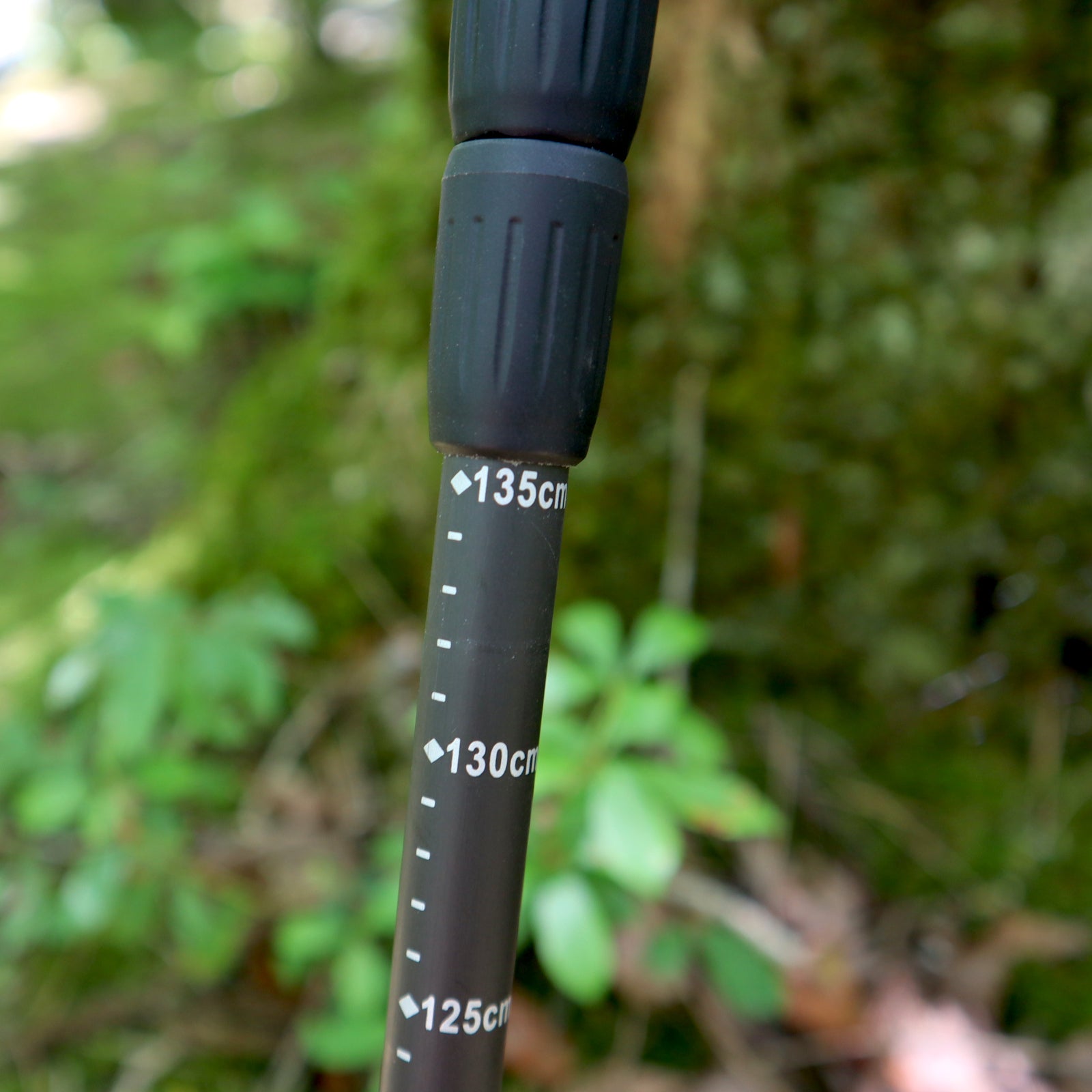 Carbon Fiber Trekking Pole