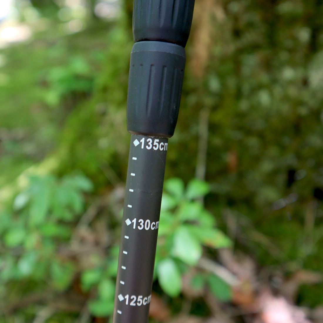 Carbon Fiber Trekking Pole